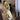 Layla Slim Cotton Padded Parkas Thicken Women Trench Coat