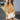 Giselle Bodysuit Women Top Clothes